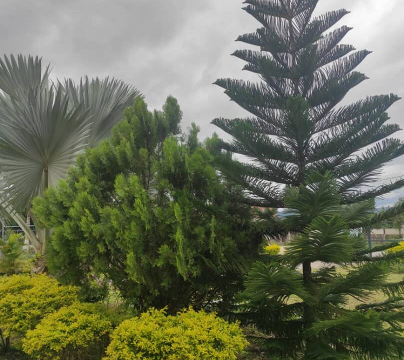 WhatsApp Image 2022-11-12 at 10.04.49 AM(1)