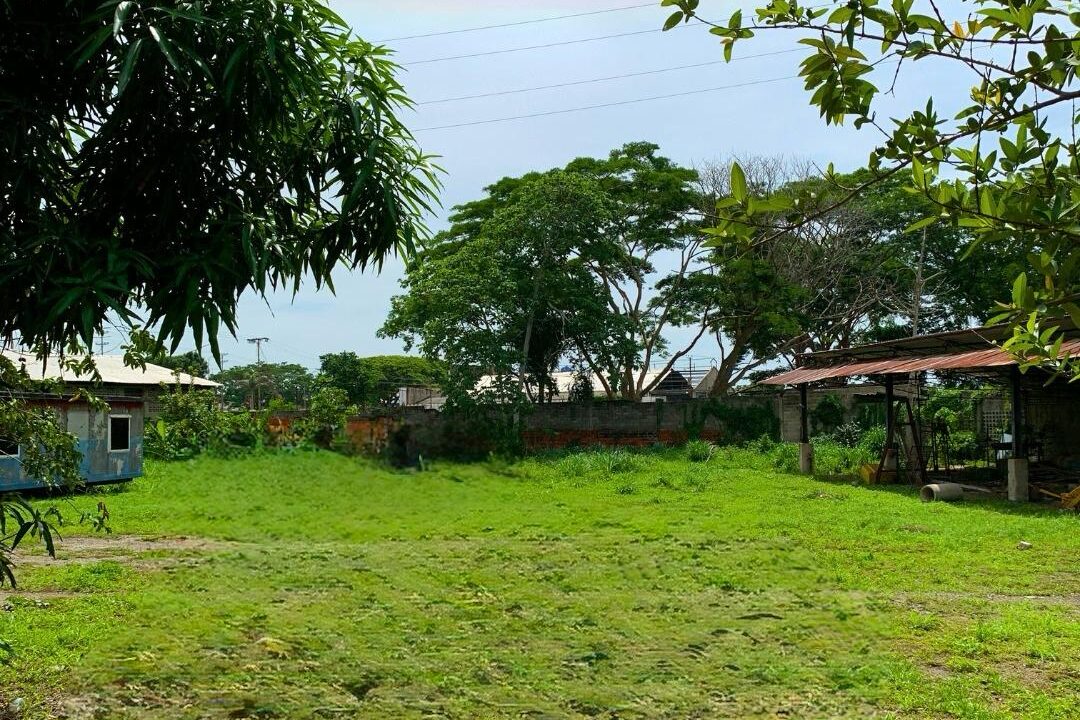 WhatsApp Image 2025-04-20 at 3.16.22 PM