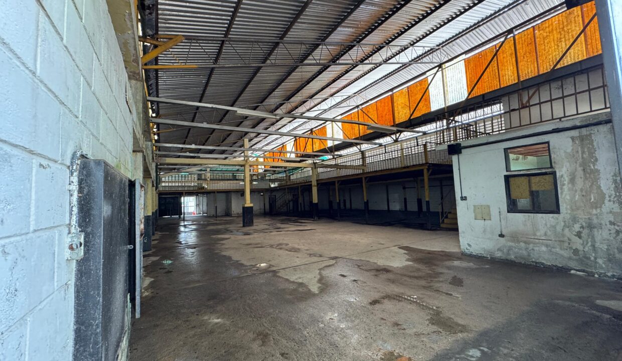 WhatsApp Image 2025-05-15 at 9.32.13 AM