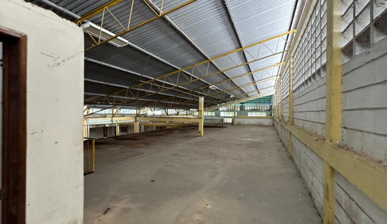 WhatsApp Image 2025-05-15 at 9.32.16 AM