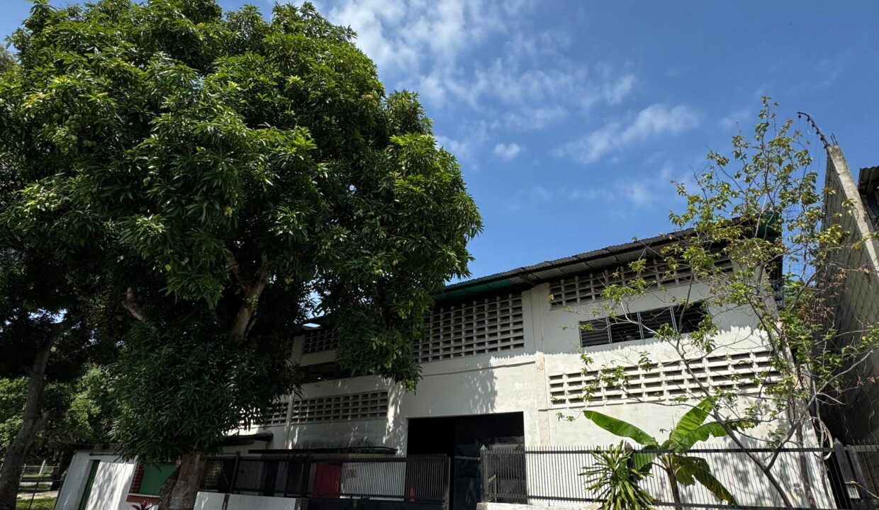 WhatsApp Image 2025-05-15 at 9.32.16 AM (3)