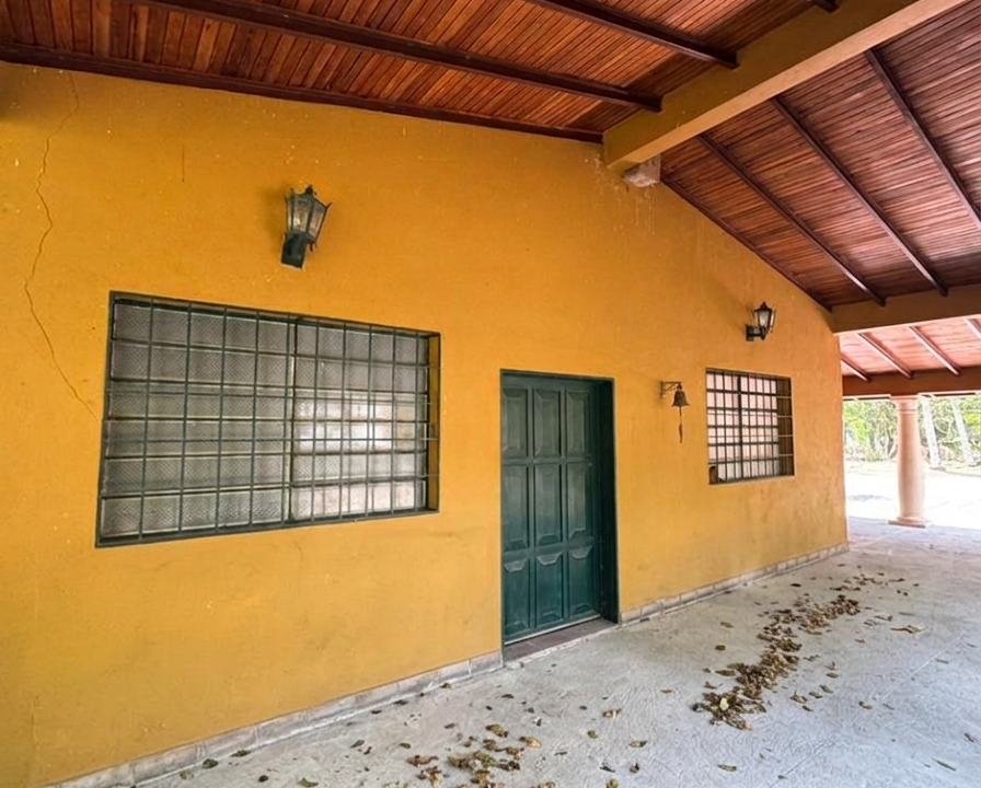 Gemini_Generated_Image_c315tqc315tqc315