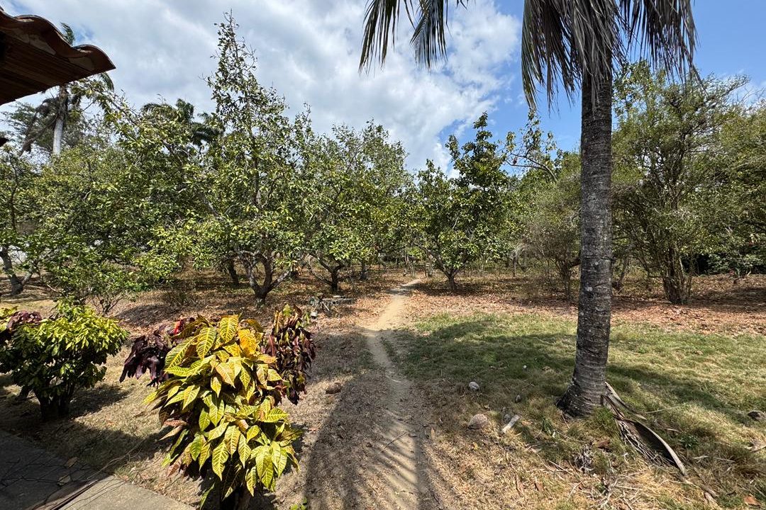 WhatsApp Image 2026-03-09 at 1.36.36 PM (2)