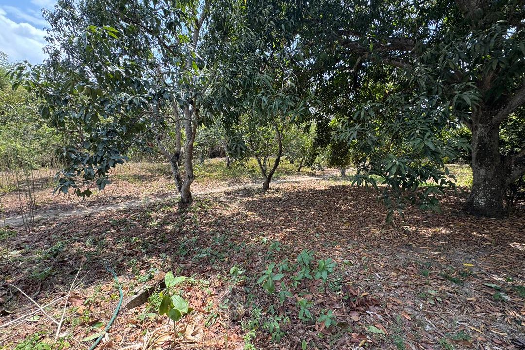 WhatsApp Image 2026-03-09 at 1.36.37 PM (1)