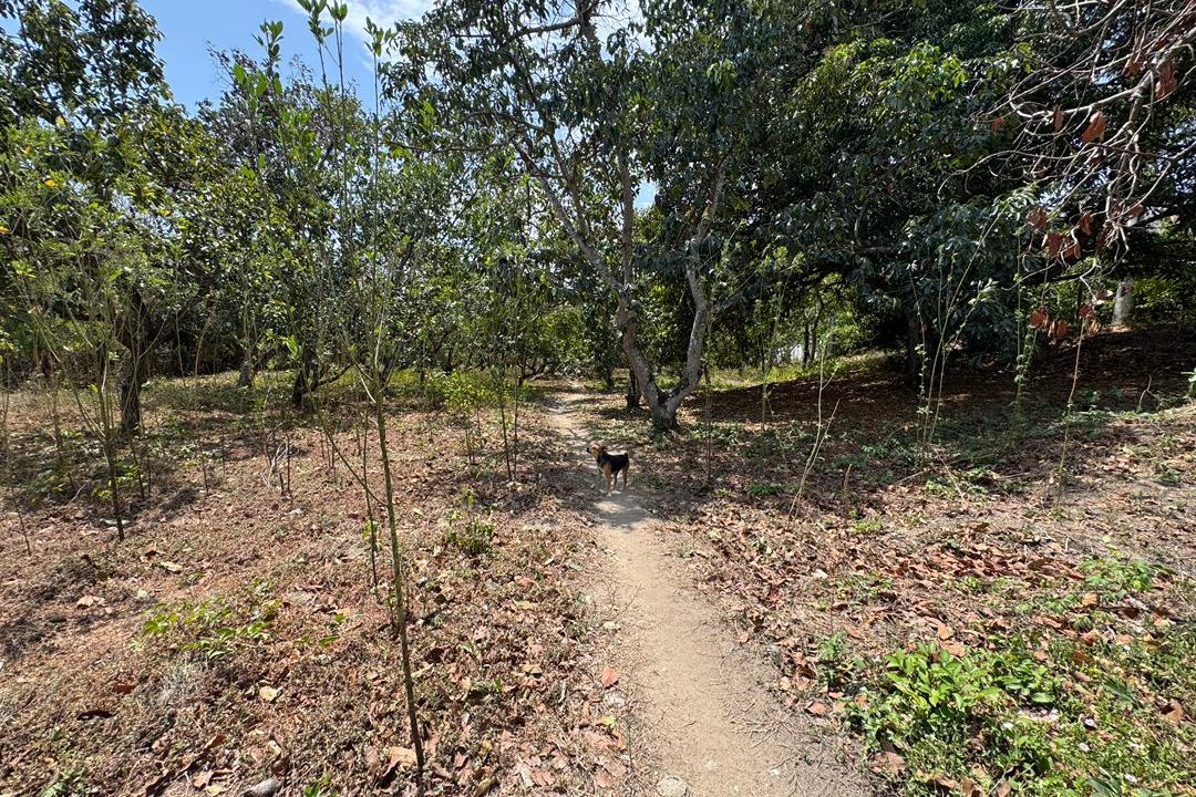 WhatsApp Image 2026-03-09 at 1.36.37 PM