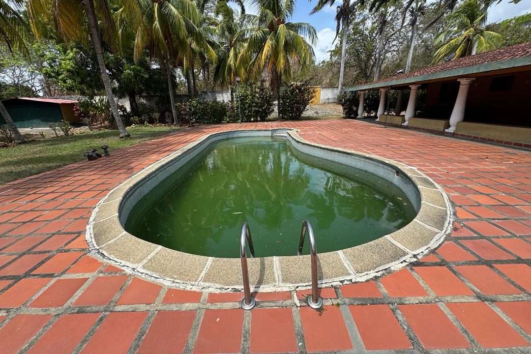 WhatsApp Image 2026-03-09 at 2.17.55 PM