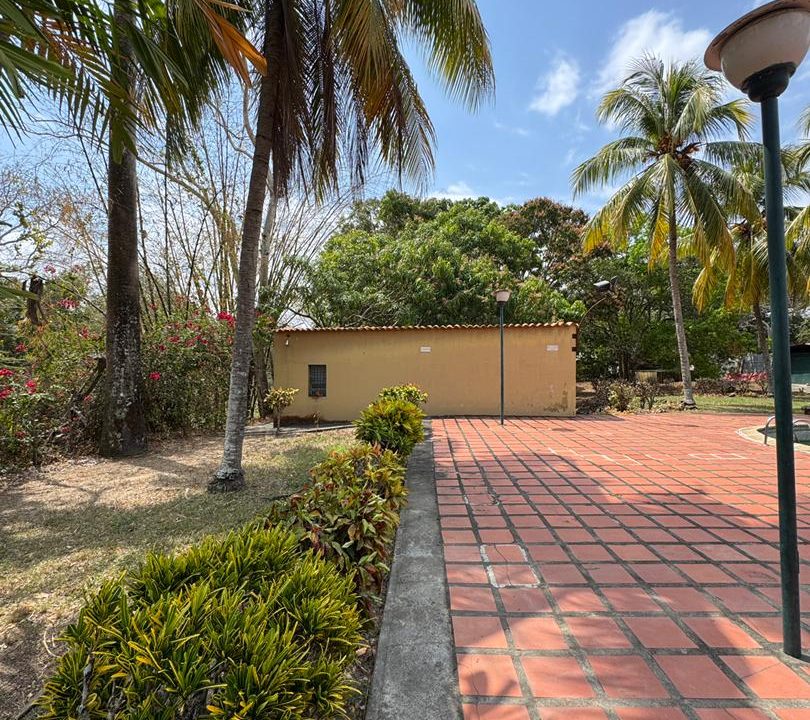 WhatsApp Image 2026-03-09 at 2.56.55 PM