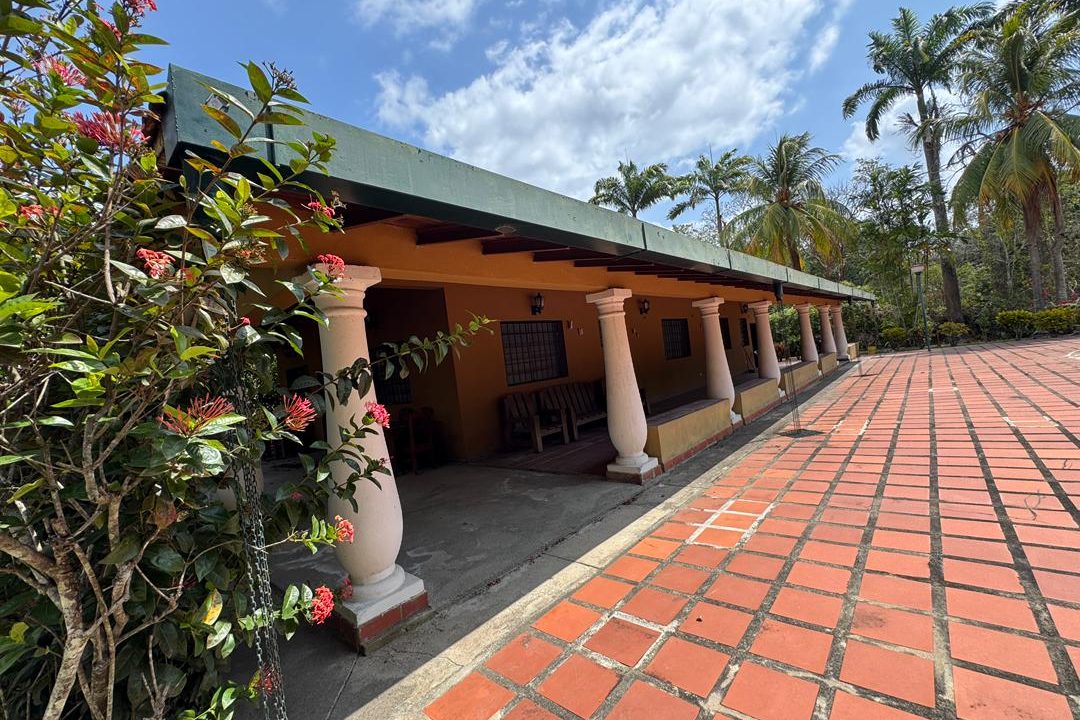 WhatsApp Image 2026-03-09 at 2.56.56 PM (1)