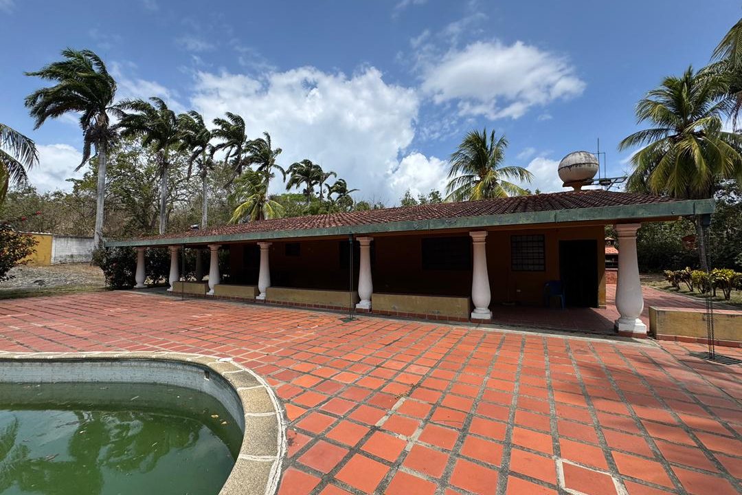 WhatsApp Image 2026-03-09 at 2.56.56 PM (2)